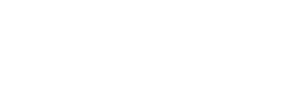 DigiGuys
